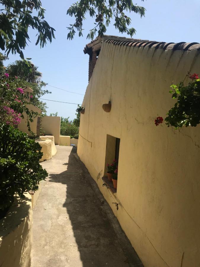 Casa Hector Villa Granada Ngoại thất bức ảnh